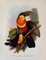 John Gould, Tropical Bird Plates, 1948, Prints, Set of 6, Image 3