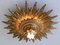 Mid-Century Modern Sunburst Flush Mounts, 1950s, Set of 2 17