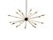 Mid-Century Modern Sputnik Brass Chandelier, 1950s, Image 1
