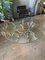 Large Circular Gold and Silver Gilt Wrought Iron Coffee Table, 1960s 15