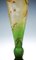 Art Nouveau Cameo Vase with Nicotiana Decor from Daum Nancy, France, 1900s, Image 8