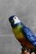 Ceramic Parrot from Ceramiche Boxer, Bassano Del Grappa, 1950s 4