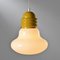 Ariana Pendant Light by Piero Brombin for Artemide, 1968 6
