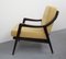 Armchair with Yellow Cushions, 1950s, Image 9