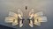 Chandelier from Maison Lunel, France, 1950s 3