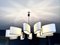 Chandelier from Maison Lunel, France, 1950s 4
