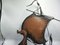 Vintage Griffin Wall Lamp Ship, 1970s, Image 6
