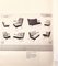 Bauhaus Modern Tubular Steel Club Seating Group Sofa + 2 Cantilever Armchairs Lounge Chairs by Mauser Werke, 3-piece CS Series, Germany, Club Möbel, 1958 14