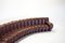 Großes DS600 Snake Sofa aus Burgunderbraunem Leder von Ueli Berger für de Sede, Schweiz, 1980er, 22 . Set 6