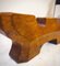 Reversible Anthroposophical Candleholder in Lemon Tree, Image 17