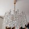 Crystal Chandelier from Bakalowits & Söhne, Image 5