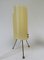 Brass Tripod Night Lights with Beige Acrylic Glass Shade, 1950s, Set of 2 5