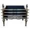 Regency English Brass and Steel Firegrate, 1900s 1