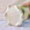 19th Century Slip Scroll Vase Birds Collection from Saint Clément 7