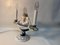 Art Nouveau Porcelain Lamp Thomasch from Goldscheider Vienna, 1910 3