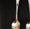 French Silver and Gold Tea or Coffee Spoons with Cake Server, 1950s 6