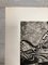 Jean Peschard, Fish in Love, Etching, 1961 4