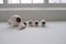 Mid-Century Modern White and Grey Vessels by Gunnar Nylund for Rörstrand, Sweden, 1950s, Set of 6 19