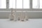 Mid-Century Modern White and Grey Vessels by Gunnar Nylund for Rörstrand, Sweden, 1950s, Set of 6 5