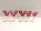 Crimson Crystal Drinking Glasses attributed to Val Saint Lambert, 1960s, Set of 12 6