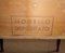 Bedside Tables Primavera 57 Series in Briarwood, Glass and Brass by Osvaldo Borsani, 1957, Set of 2, Image 7