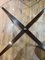 Coffee Table by Gio Ponti, 1960s 3
