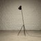 Vintage Swedish Grasshopper Floor Lamp, 1950s, Image 4