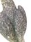 Weathered Stone Statue of Eagle on Plinth, 1960s 5