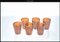 Tequila Glasses by Mariana Iskra for Angelo Ballarin, Set of 6 3