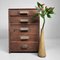 Taishō Wooden Shop Cabinet with Drawers, Japan, 1920s, Image 3