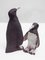 Penguins, 1960s, Set of 2 6
