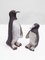 Penguins, 1960s, Set of 2 8
