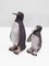 Penguins, 1960s, Set of 2 4