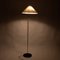Mid-Century Modern Floor Lamp by Rupert Nikoll, 1950s 2