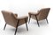 Set of Mid-Century Lounge Chairs in Sheepskin 2