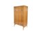 Vintage Wardrobe by František Mezulánik for Up Závody, 1960s 3