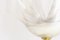 Blumenförmige Tischlampen von Maison Rougier, 2er Set 5
