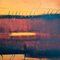 Dário Bosa, Orange Hue Sunset Diptych, 2003, Oil on Canvas, Set of 2, Image 7