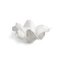 Natural Beauty Vase by Constanza Cecchetto 2