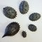Hedgehog Ashtrays by Walter Bosse for Hertha Baller, 1950s, Set of 6, Image 7