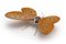 Shadow Butterfly in Nude by Mambo Unlimited Ideas 4