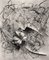 Lily in Charcoal no.2 Expressionnisme abstrait Photographie Édition de 10 2023 1