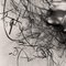Lily in Charcoal no.2 Expressionnisme abstrait Photographie Édition de 10 2023 4