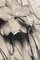 Lily in Charcoal Abstract Expressionism Photography, edición limitada 3 de 5 2023, Imagen 2
