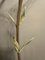 Large French Olivia Floor Lamp by Jean Claude Mahey, 1980s 12