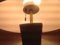 Lampade da tavolo vintage di Gerald Thorsten per Lightolier, set di 2, Immagine 4