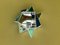 Small Superstar Mirror Series #09 von Ruth Minola Scheibler 1