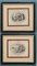 Otto van Veen, Amorvm Emblemata, 1608, Engravings, Framed, Set of 2 1
