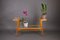 Mid-Century Modern Wooden and Glass Plant Stand, 1960s, Image 2