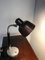 Table Lamp from Greco, 1950s 1